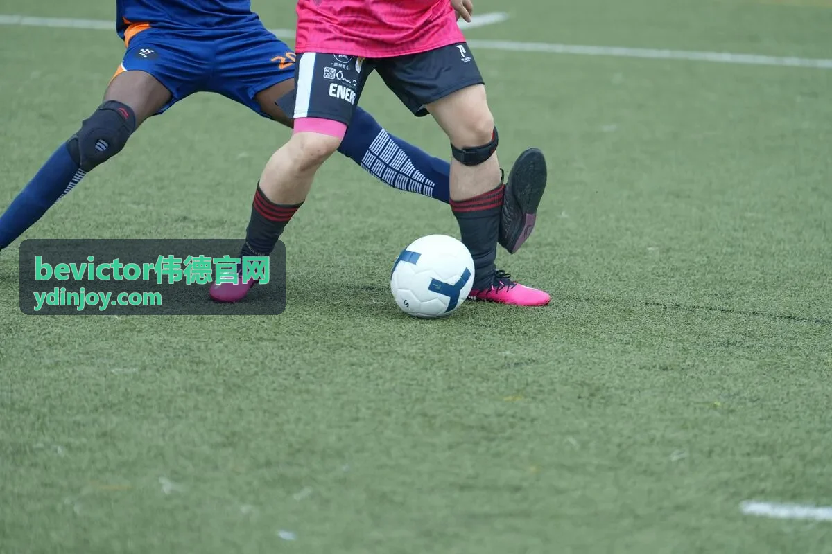 bevictor伟德 组织效能